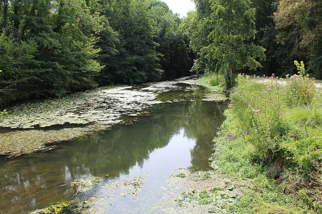 Essonne près Moulin Mirebeau Malesherbes Malesherbois 1