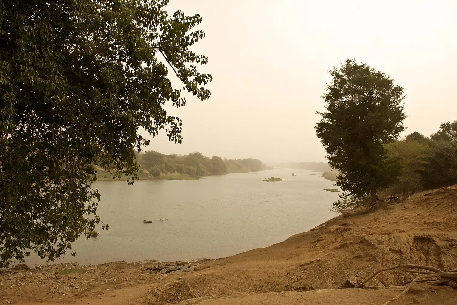 RIO FALÉMÉ