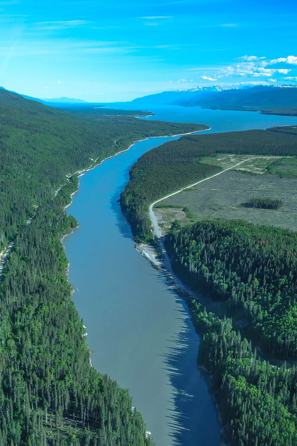 Finlay River emptying into the north end of Williston Lake