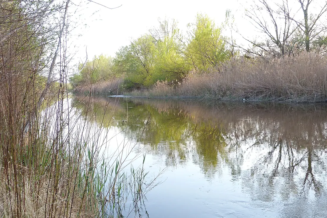 Rio Gallego cerca del Ebro
