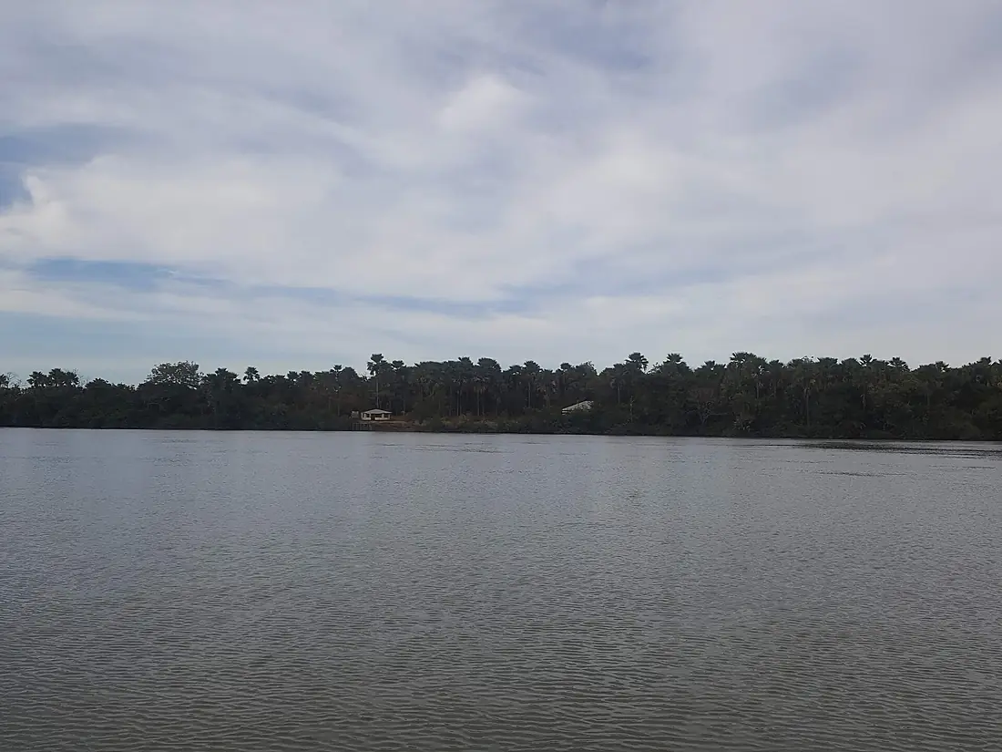 RiverGambia Janjanbureh 20190122 Riverbank