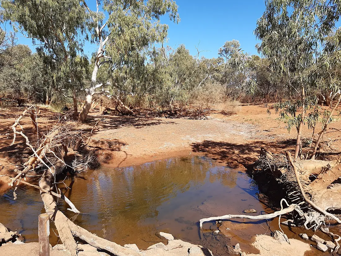 Gascoyne River at Landor-Mt Augustus Road crossing, July 2020 01