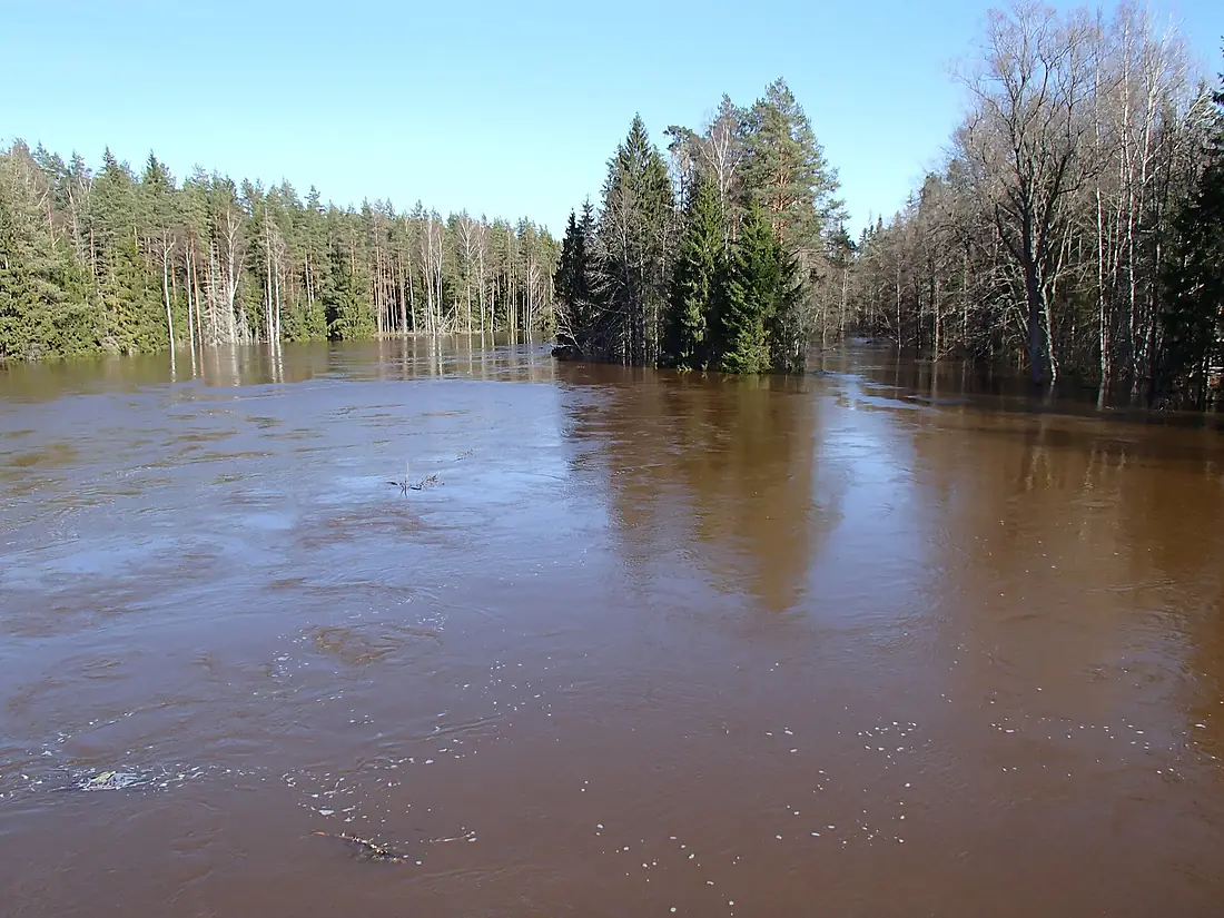 Flooding Gauja river