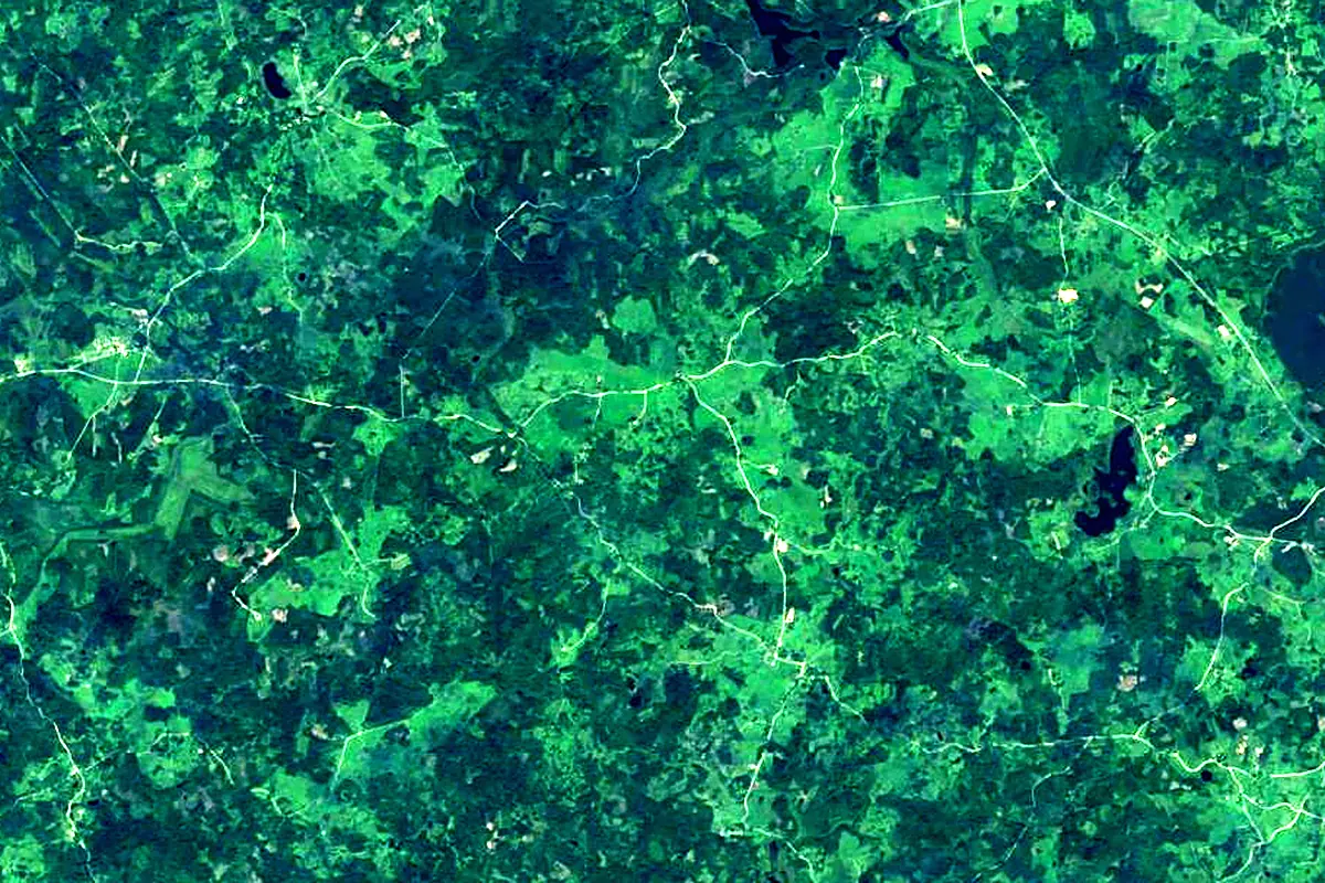 Gauja: satellite view of the source
