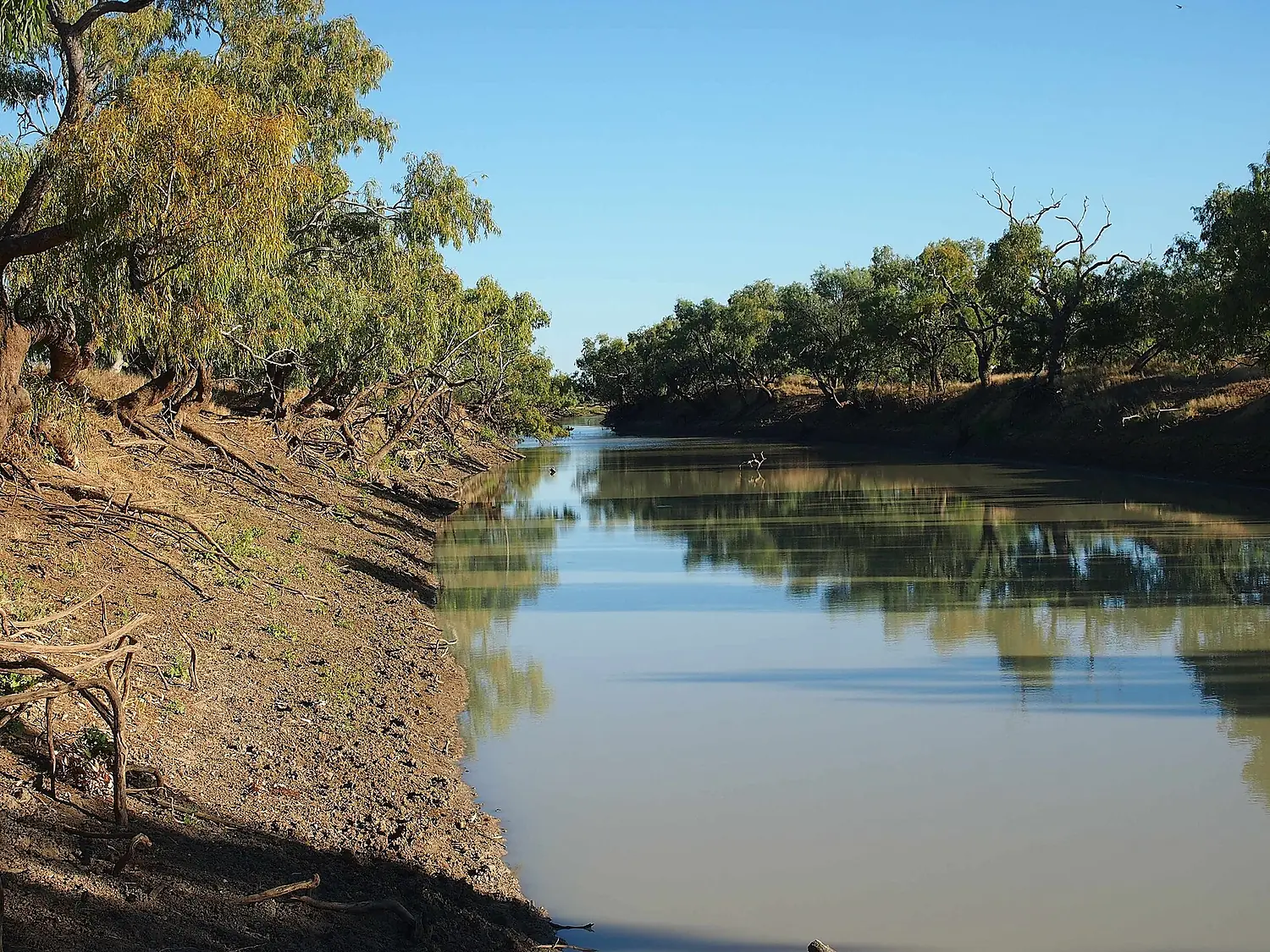 Georgina River
