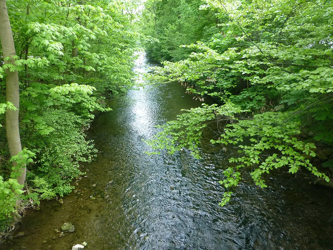 Arnstadt Gera1