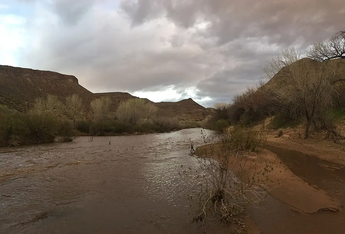 Gila River in the Gila Box National Conservation Area (55125890639)