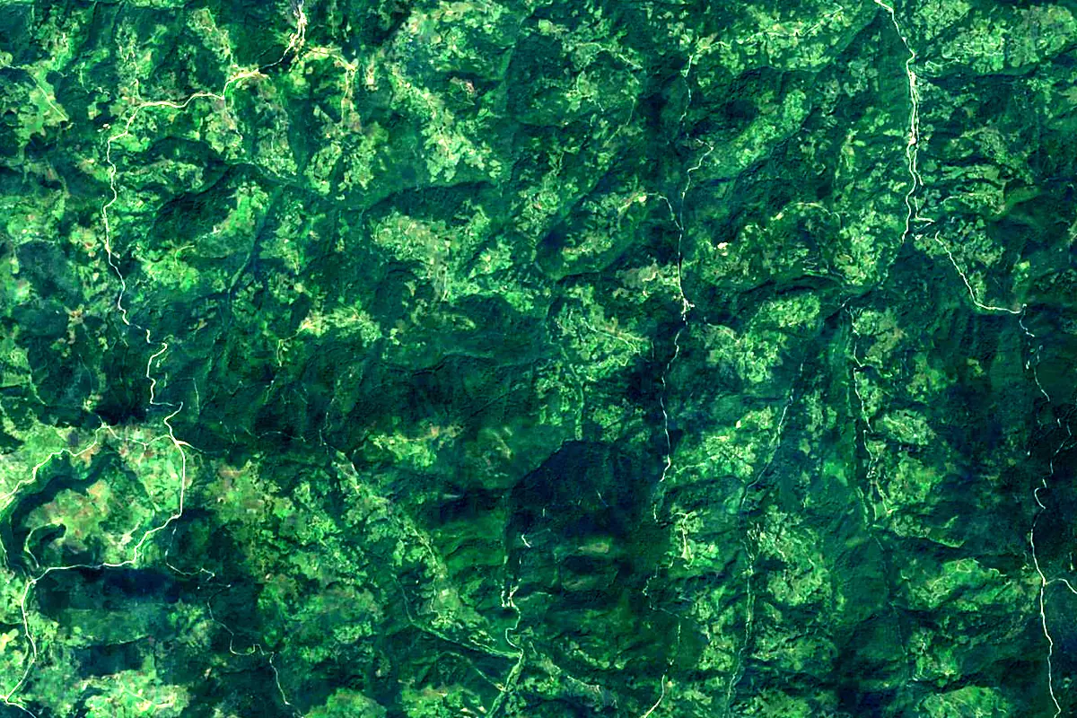 Great Morava: satellite view of the source