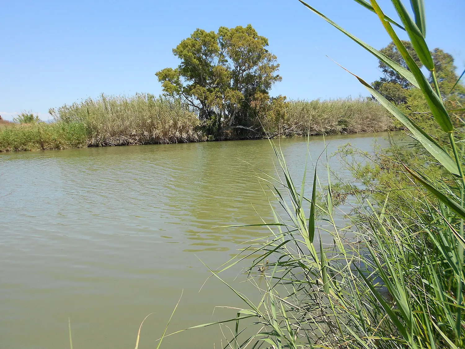 Río Guadalhorce 03
