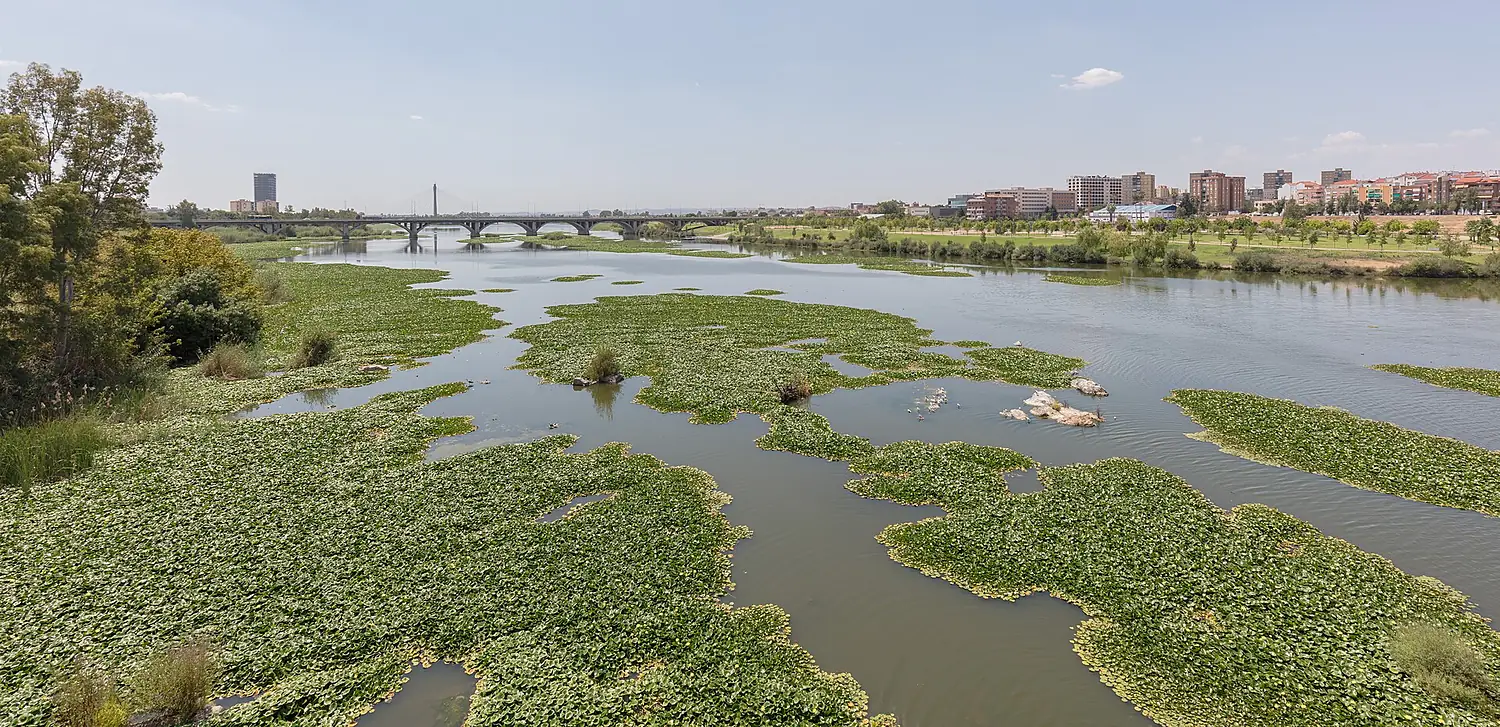Puente de la Universidad sobre el río Guadiana, Badajoz, España, 2020-07-22, DD 91