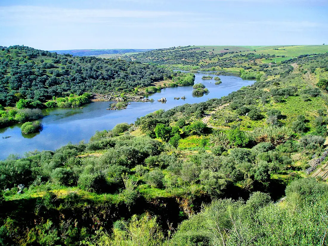Guadiana river