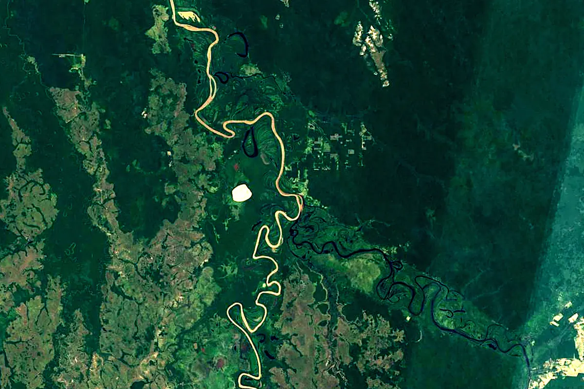 Guaporé River: satellite view of the mouth