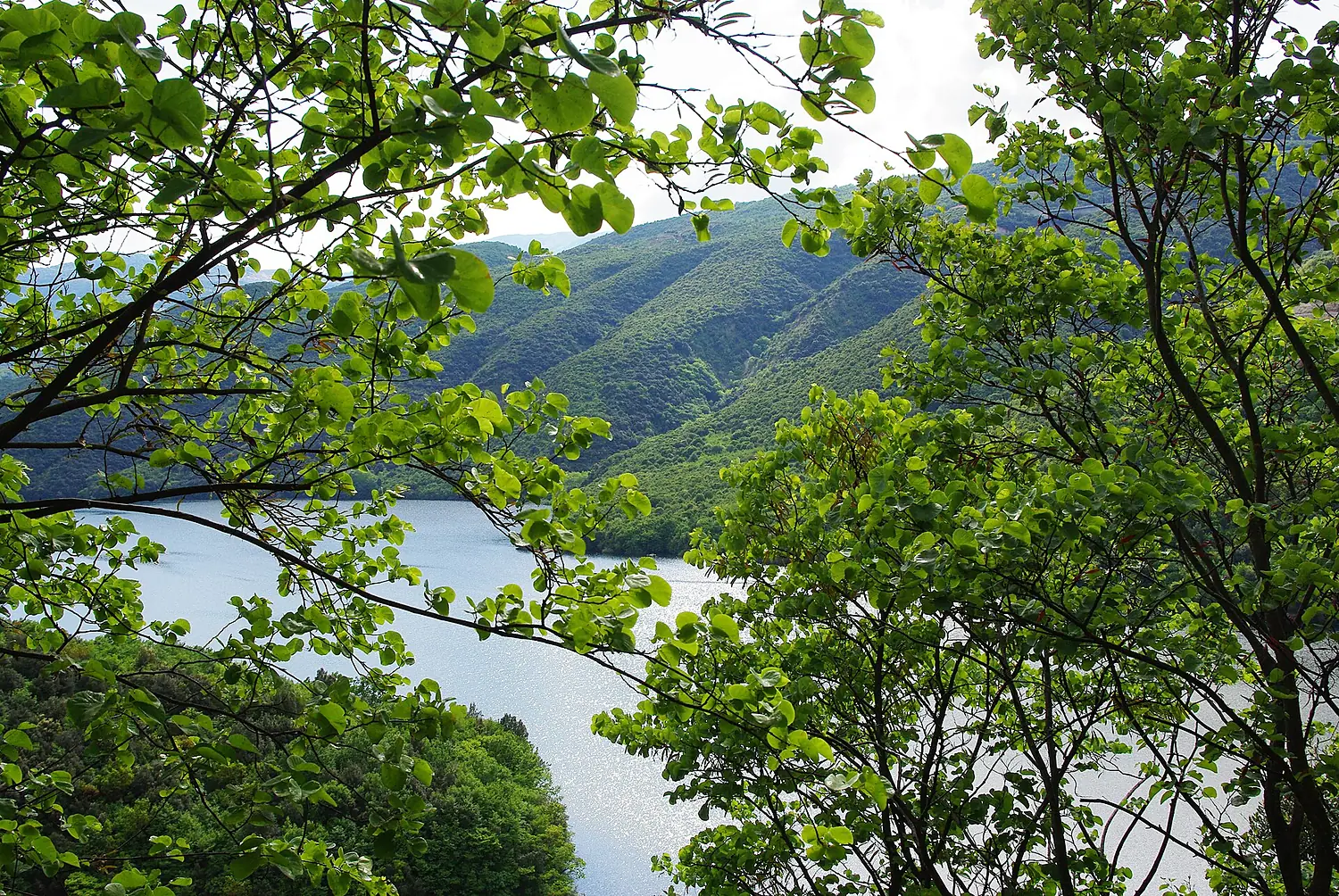 Aliakmon river
