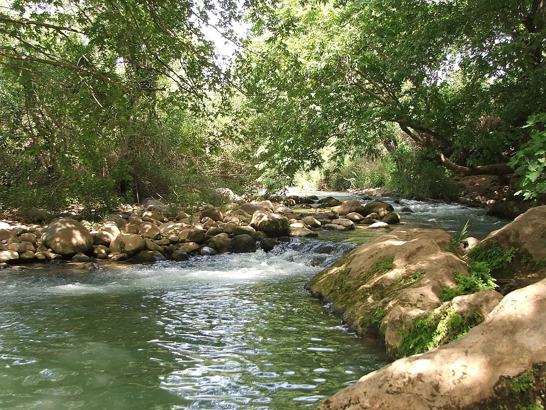 Hasbani River2008