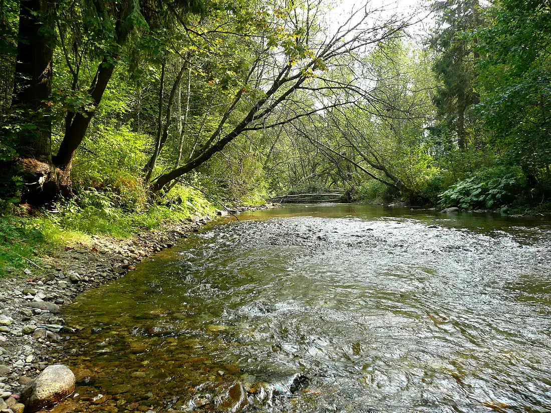 Pohorelá Hron river 40350