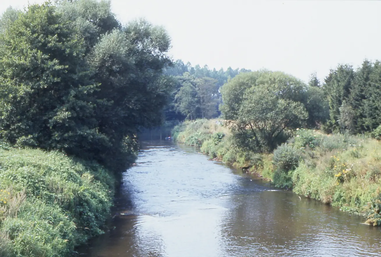 Hunte b Doetlingen