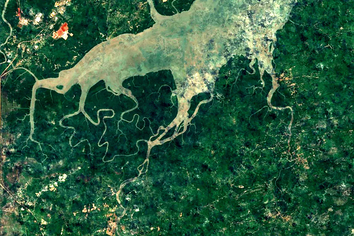 Itapecuru River: satellite view of the mouth