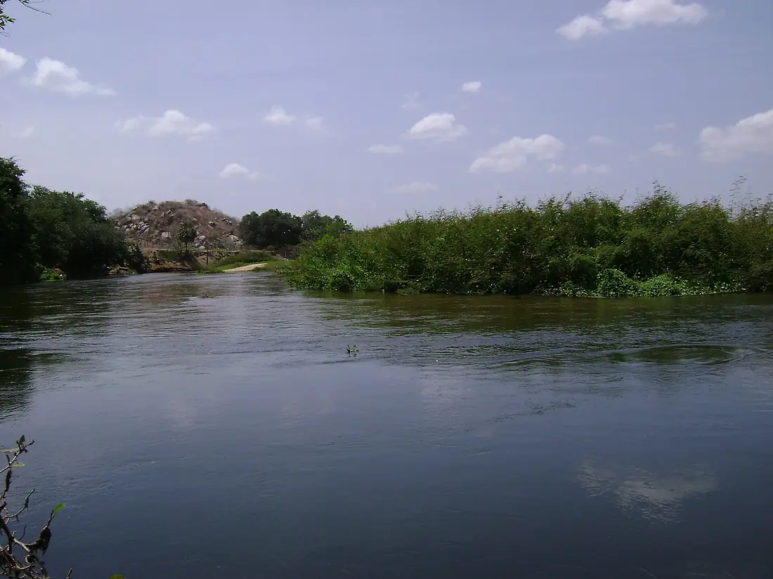 Rio jaguaribe - Ce - panoramio