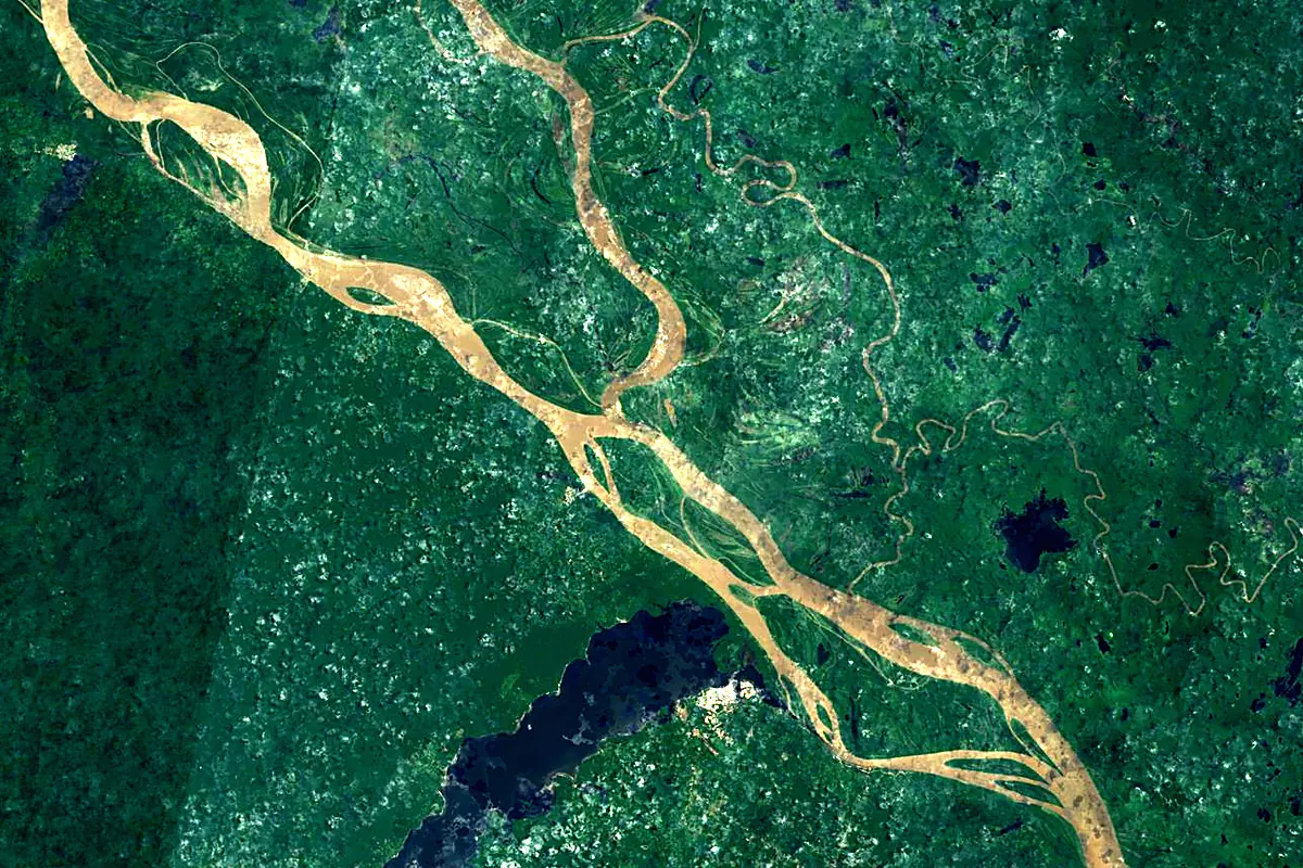 Japurá River: satellite view of the mouth