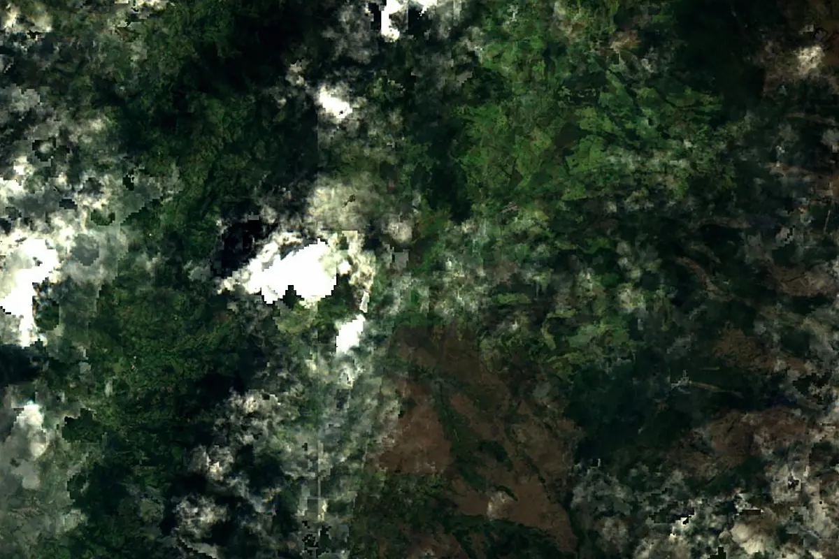 Japurá River: satellite view of the source