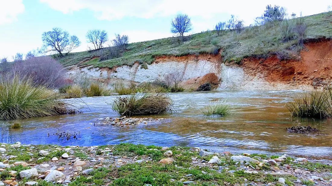 Río Jarama