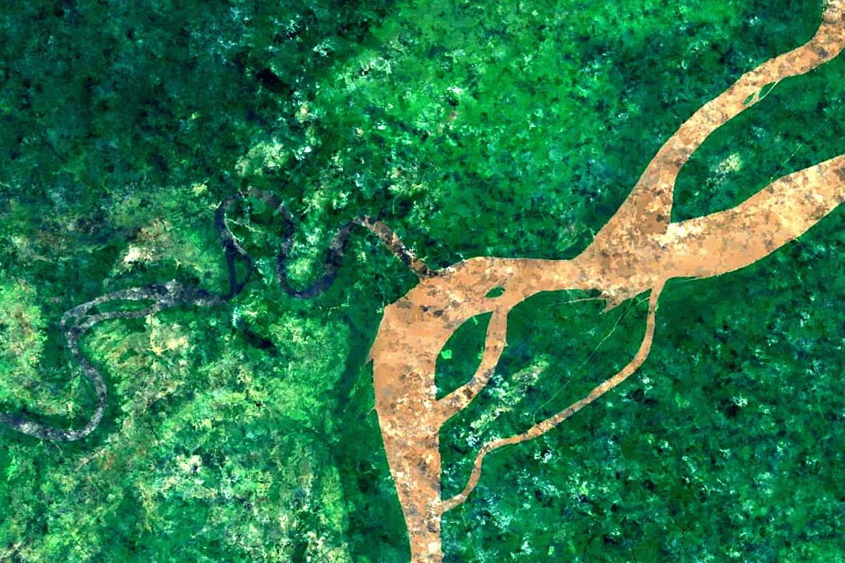 Jari River: satellite view of the mouth