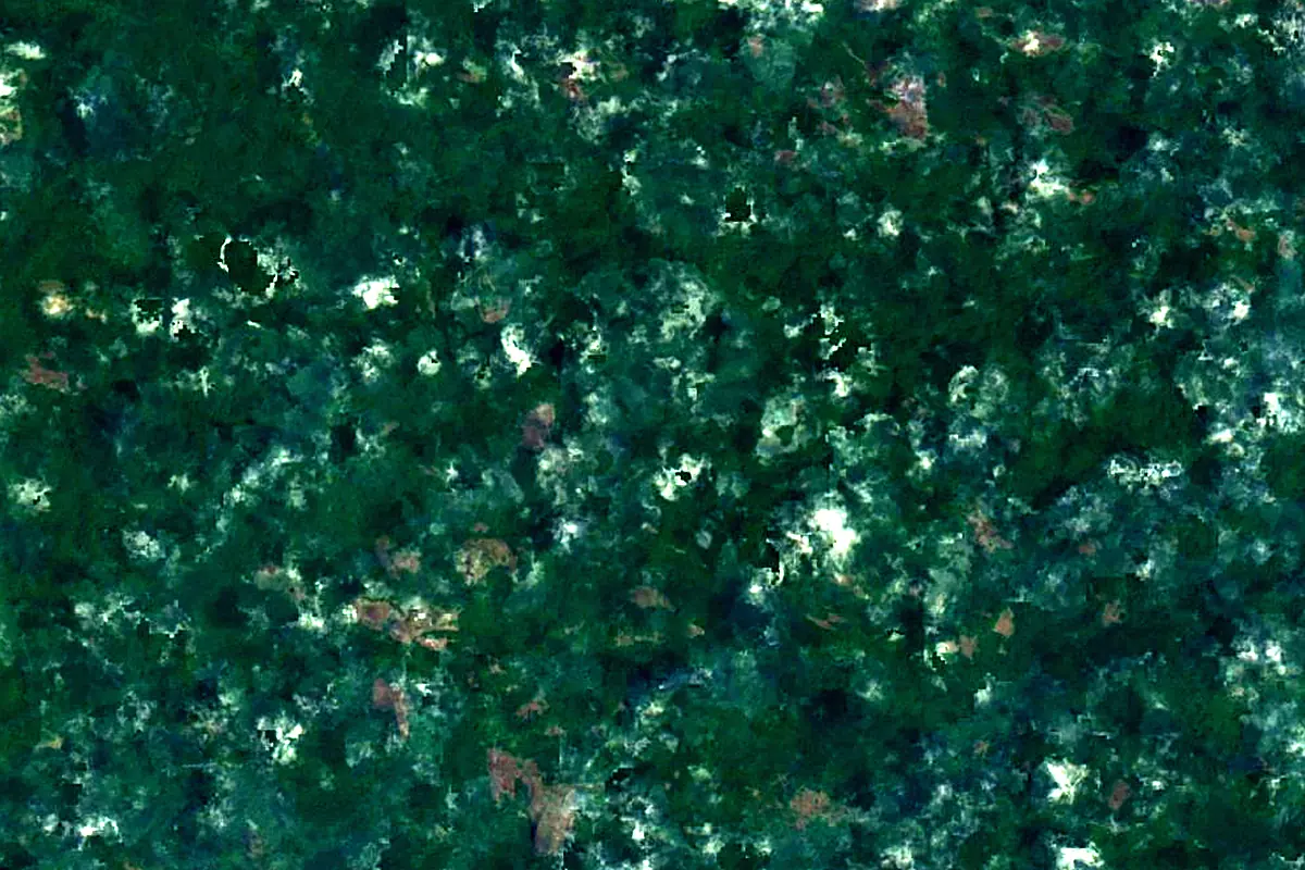 Jari River: satellite view of the source