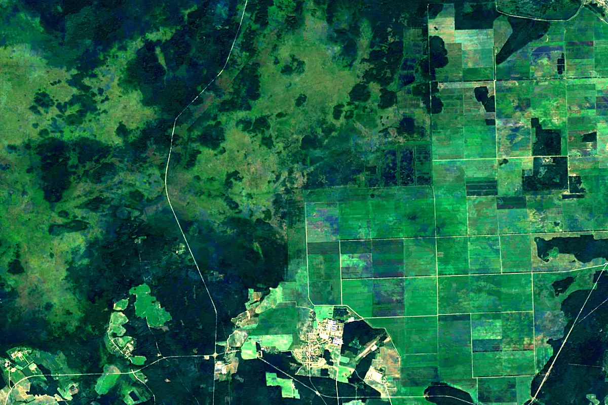 Jasieĺda River: satellite view of the source