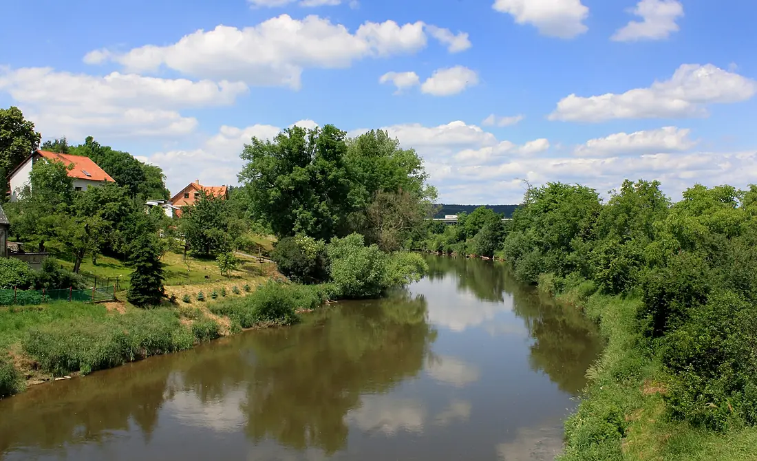 Jizera river by Tuřice