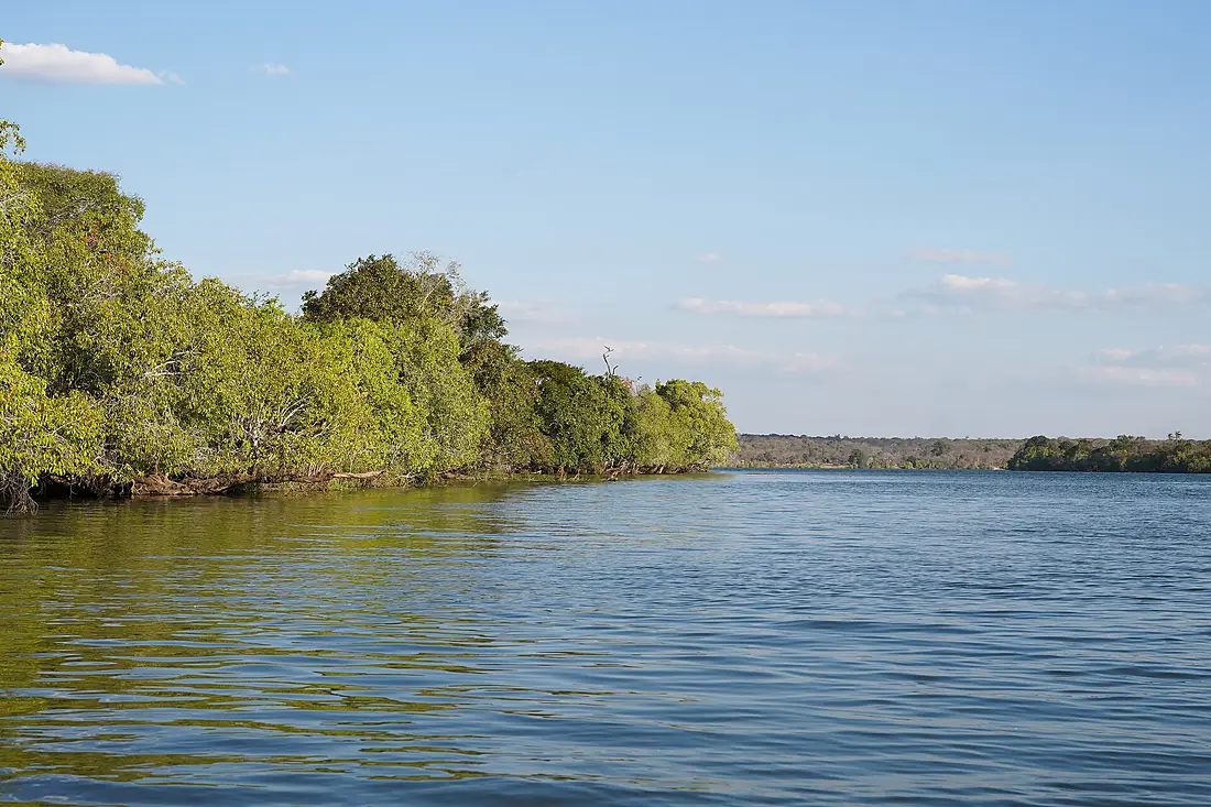 Kafue River Hook Downstream Zambia Jul23 A7C 05328