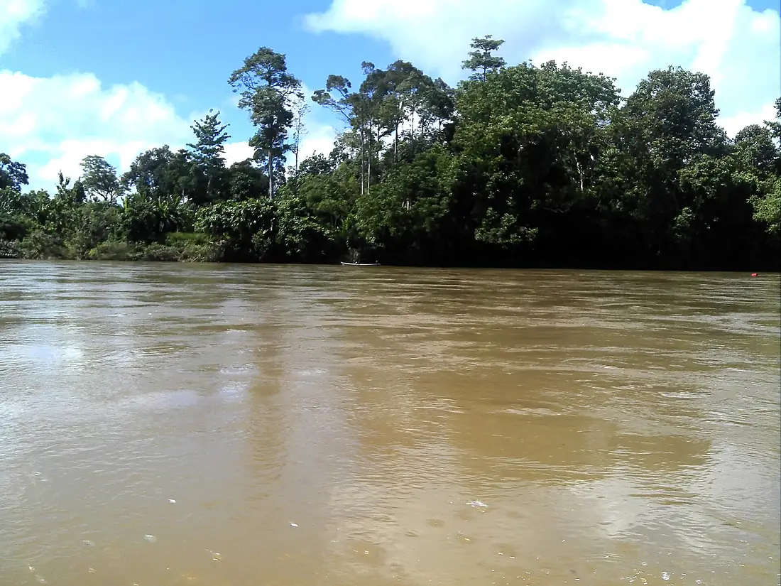 Cempaka Baru, Hulu Kapuas, Kapuas Hulu Regency, West Kalimantan, Indonesia - panoramio (5)