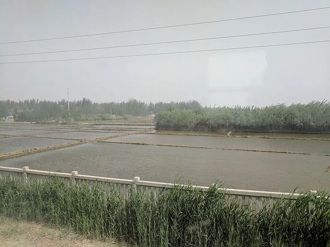 Karakax Paddy Field (IMG 20170519 115504)