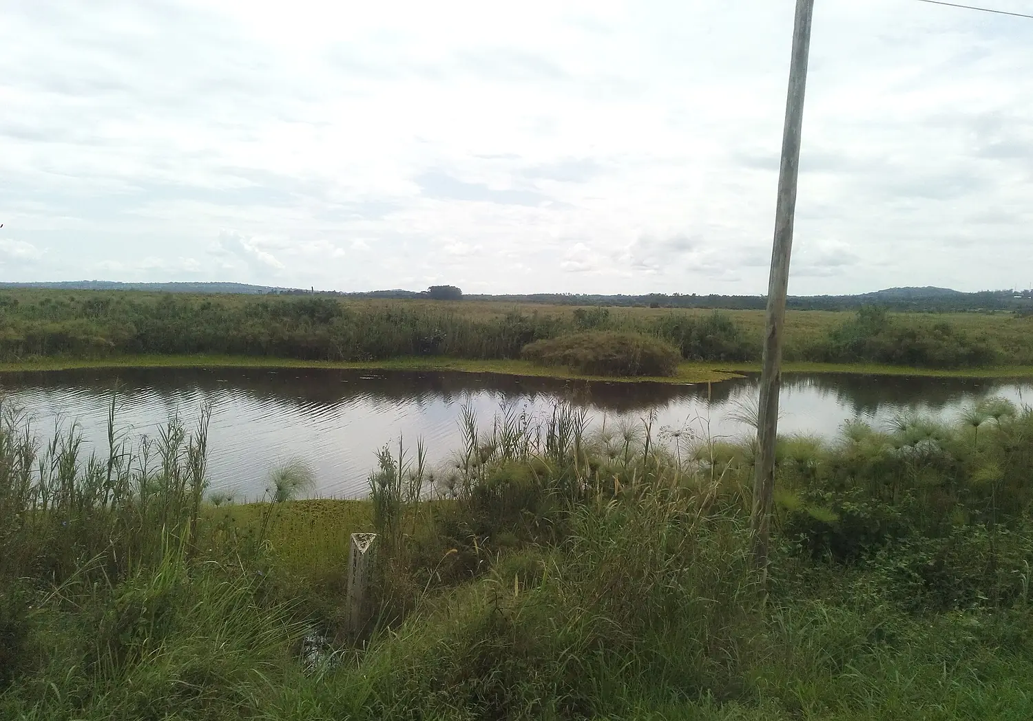 Katonga River View along Kampala-Masaka Highway