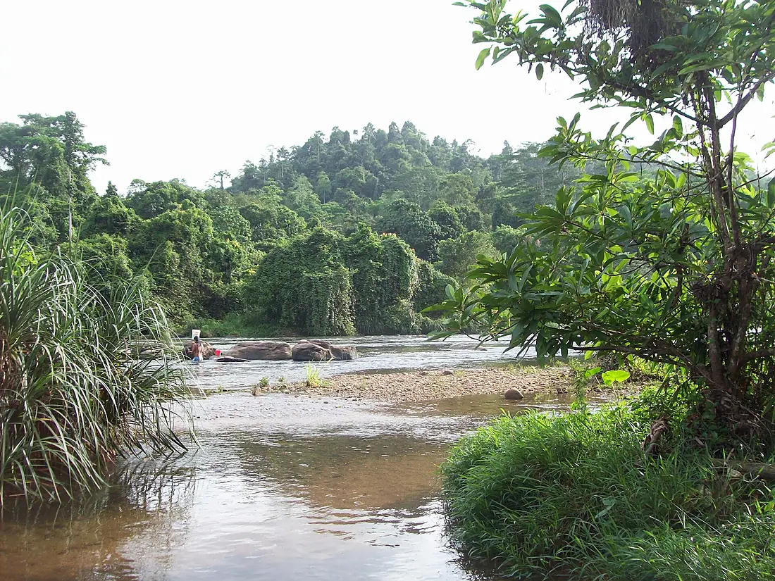 Kelani Ganga at Kithulgala Rest House - panoramio (1)
