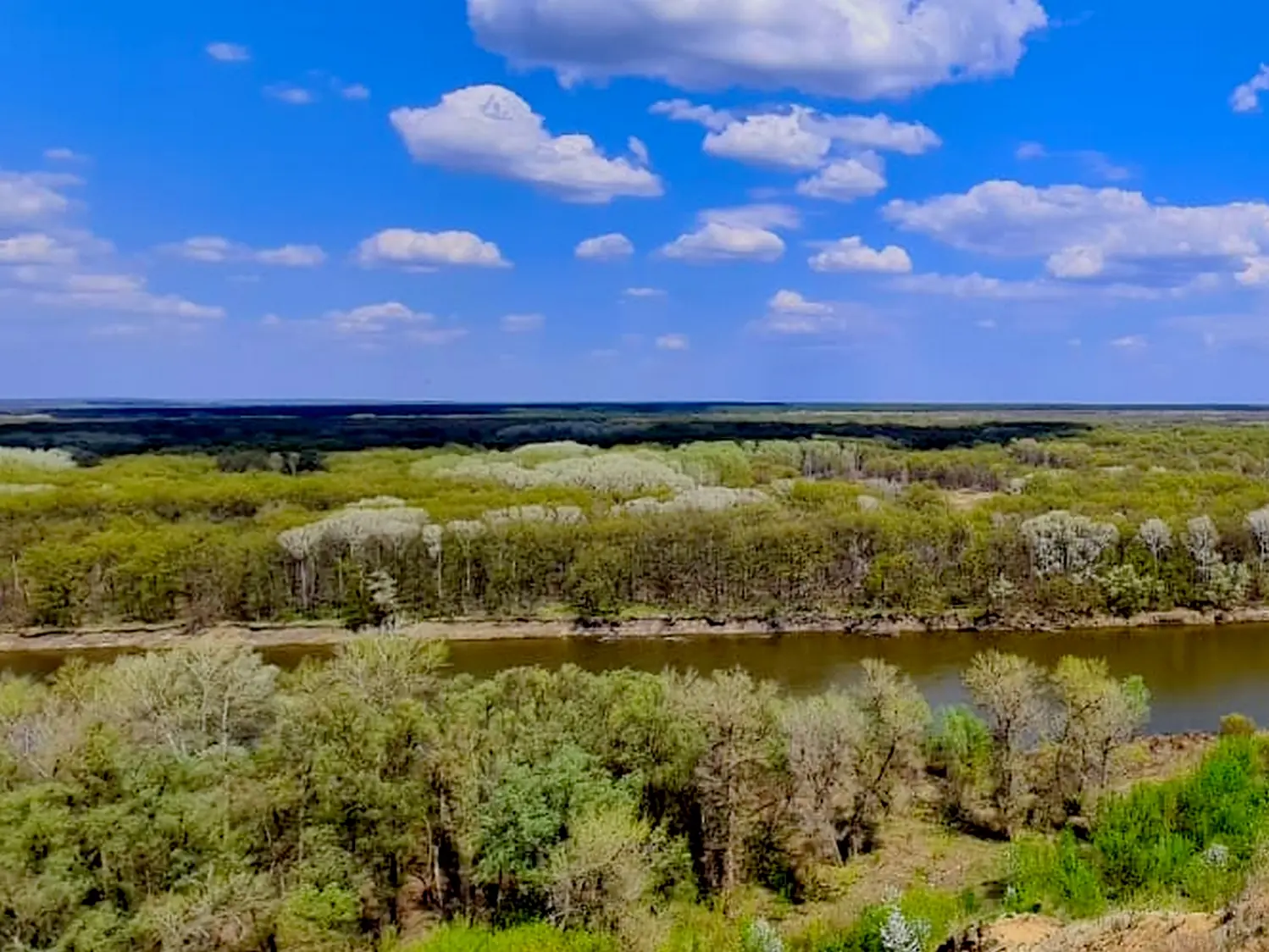 004LE. View of the Khopersky Reserve