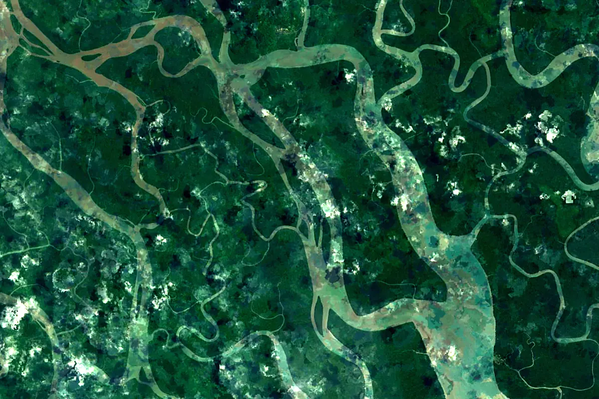 Kikori River: satellite view of the mouth