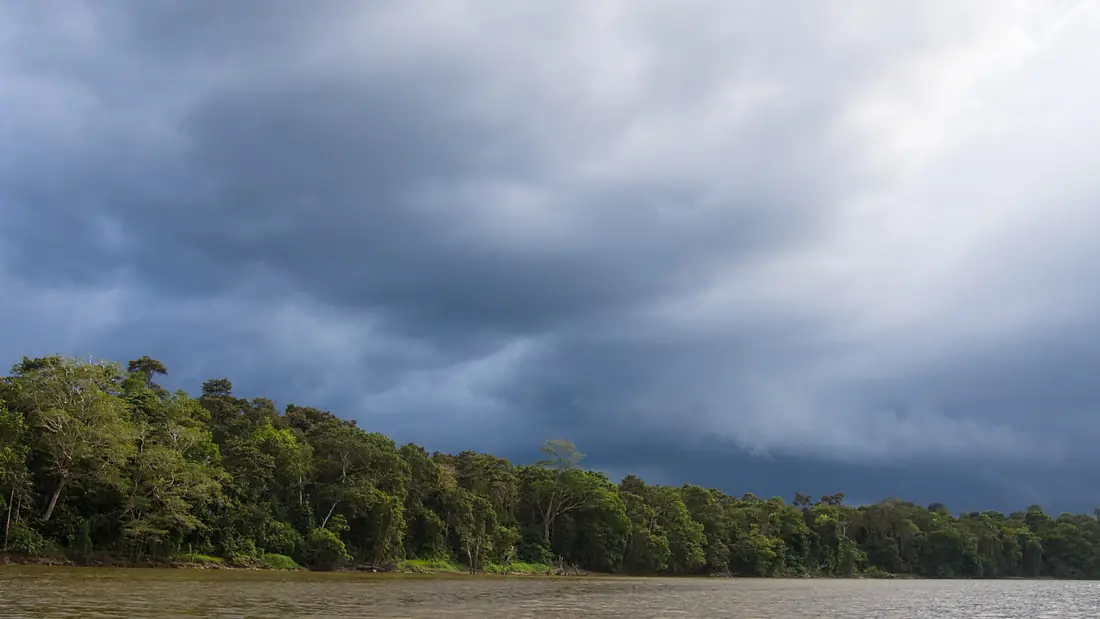 Kinabatangan River (14177400033)