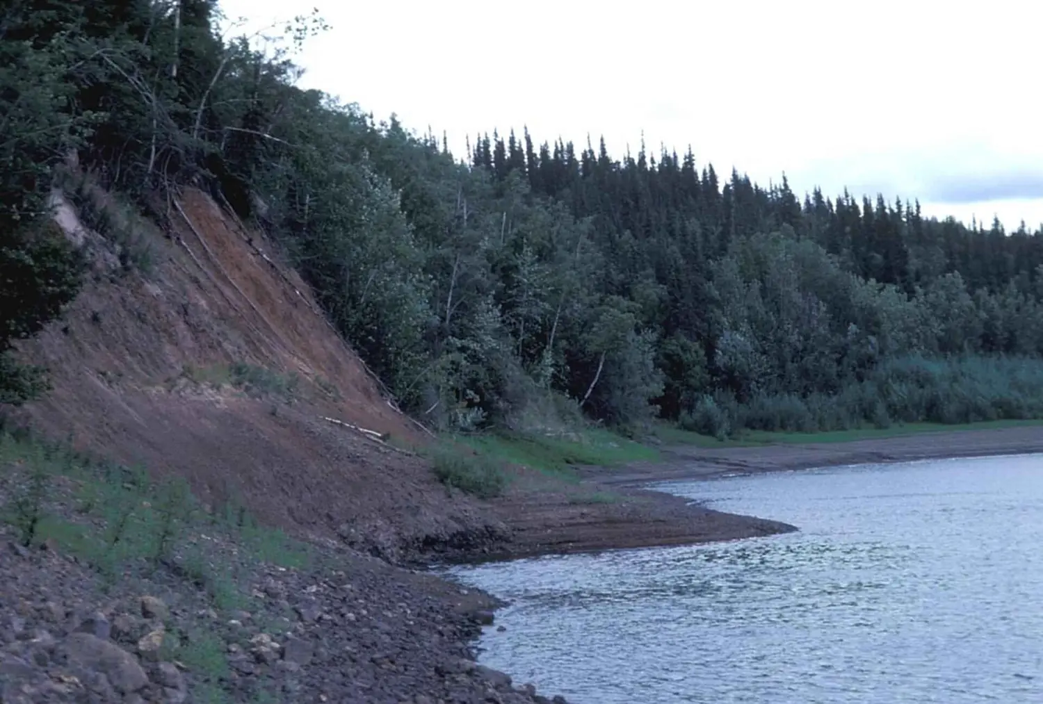 Koyukuk river bluff
