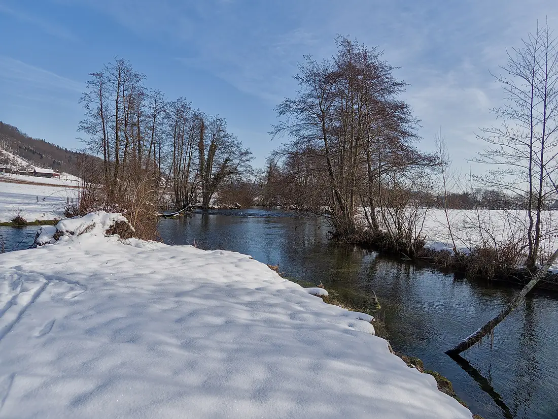 Confluence of Poltarica and Krka 01