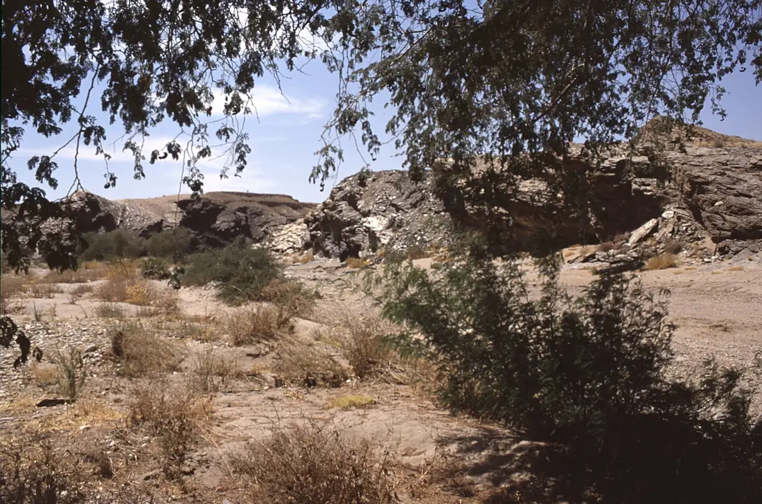 Dunst Namibia Oct 2002 slide150 - Im Kuiseb River