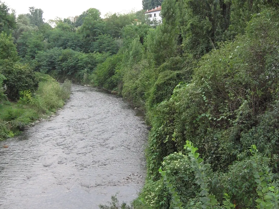 Lambro1-crop