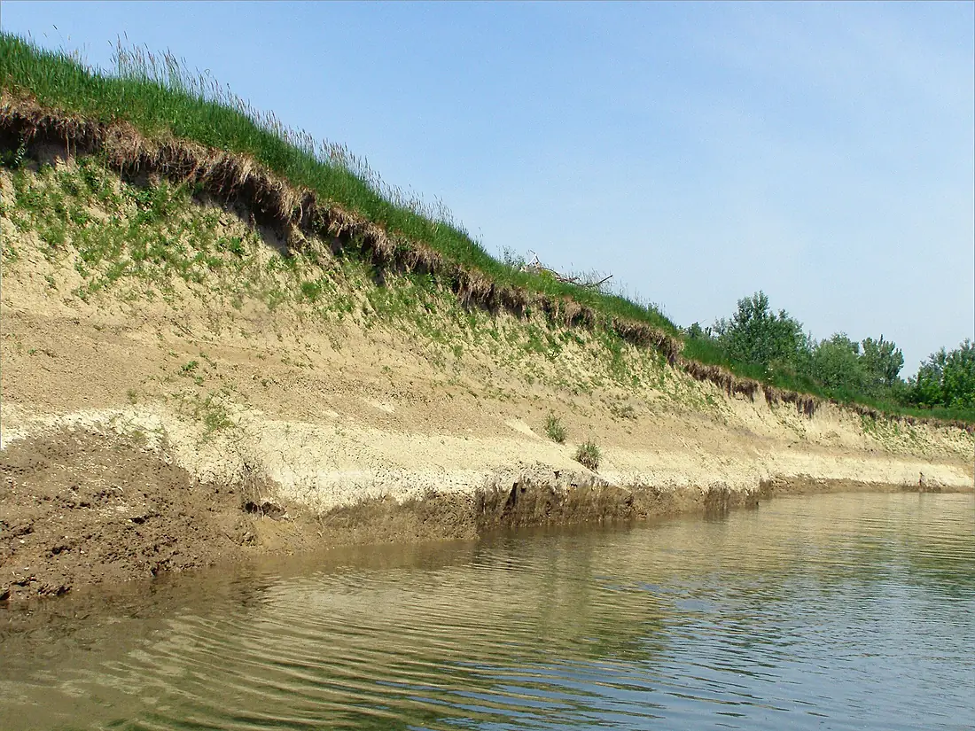 Latorica - panoramio (2)