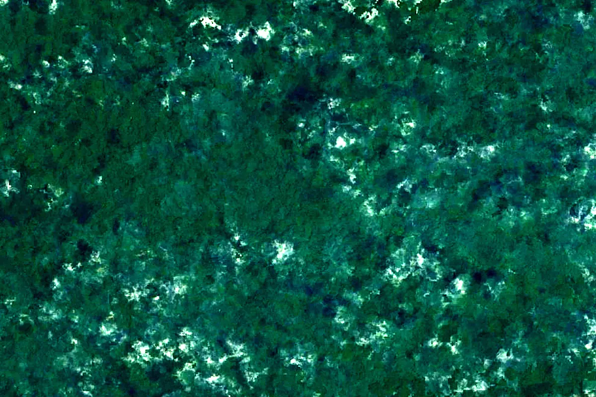 Lawa River: satellite view of the source
