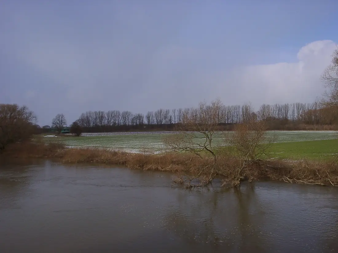 02170005 - Seelze - Leineaue - 2005