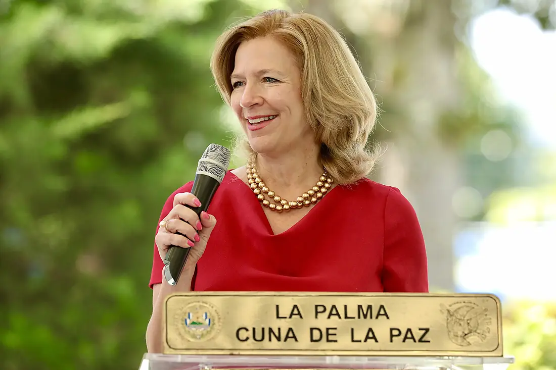 CDA Dueholm - Proyecto Cuenca Alta del Río Lempa (52459177541)
