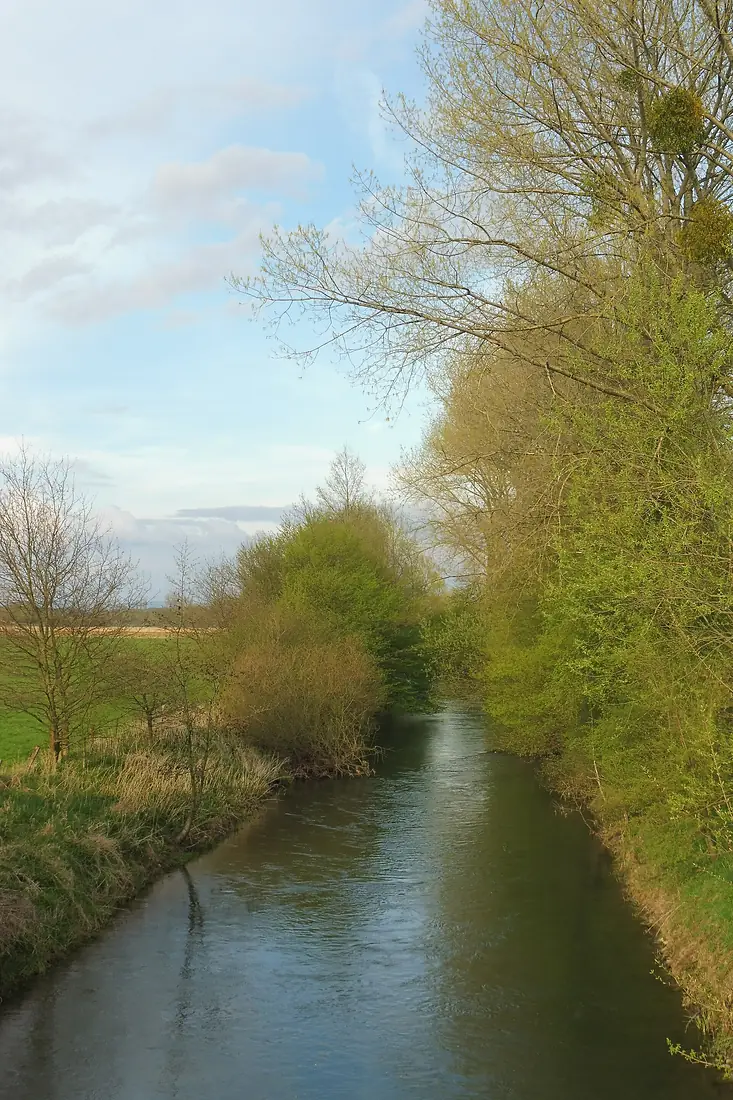 Anreppen - NSG Lippeniedrung IV - Anreppen - 1