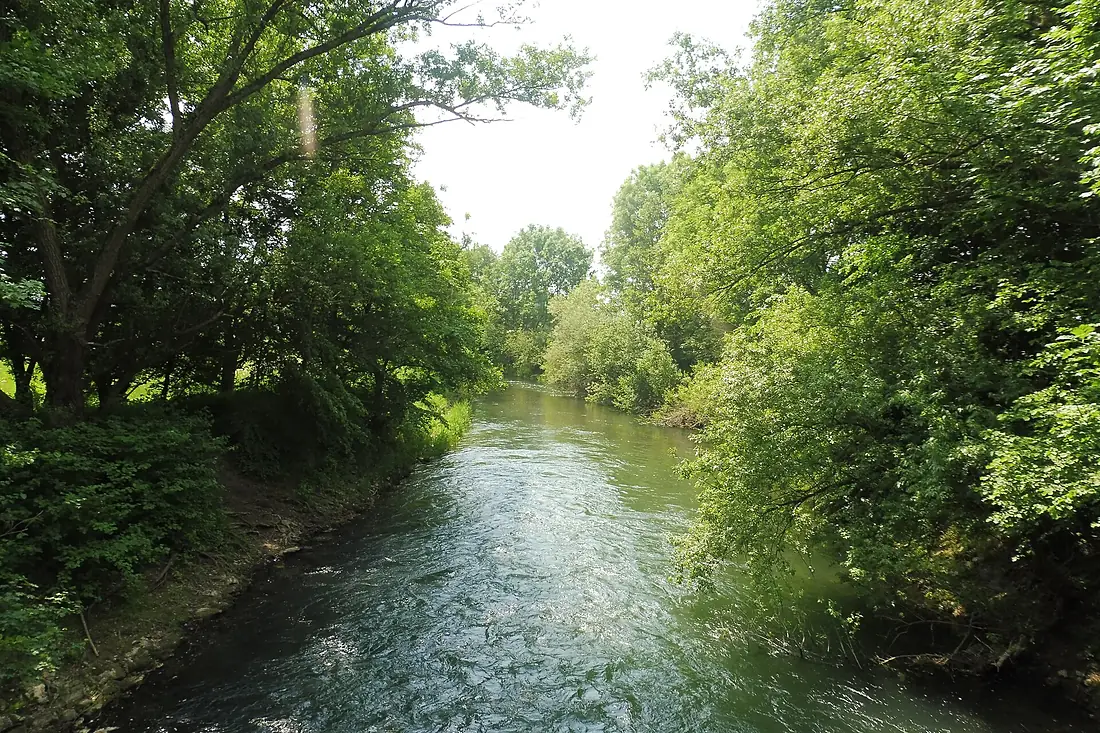 Boke - NSG Lippeniederung III - Kirchboke - 5