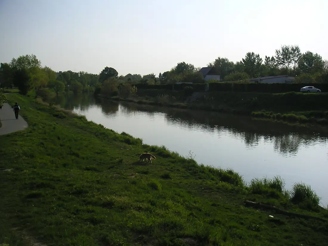 Little Danube