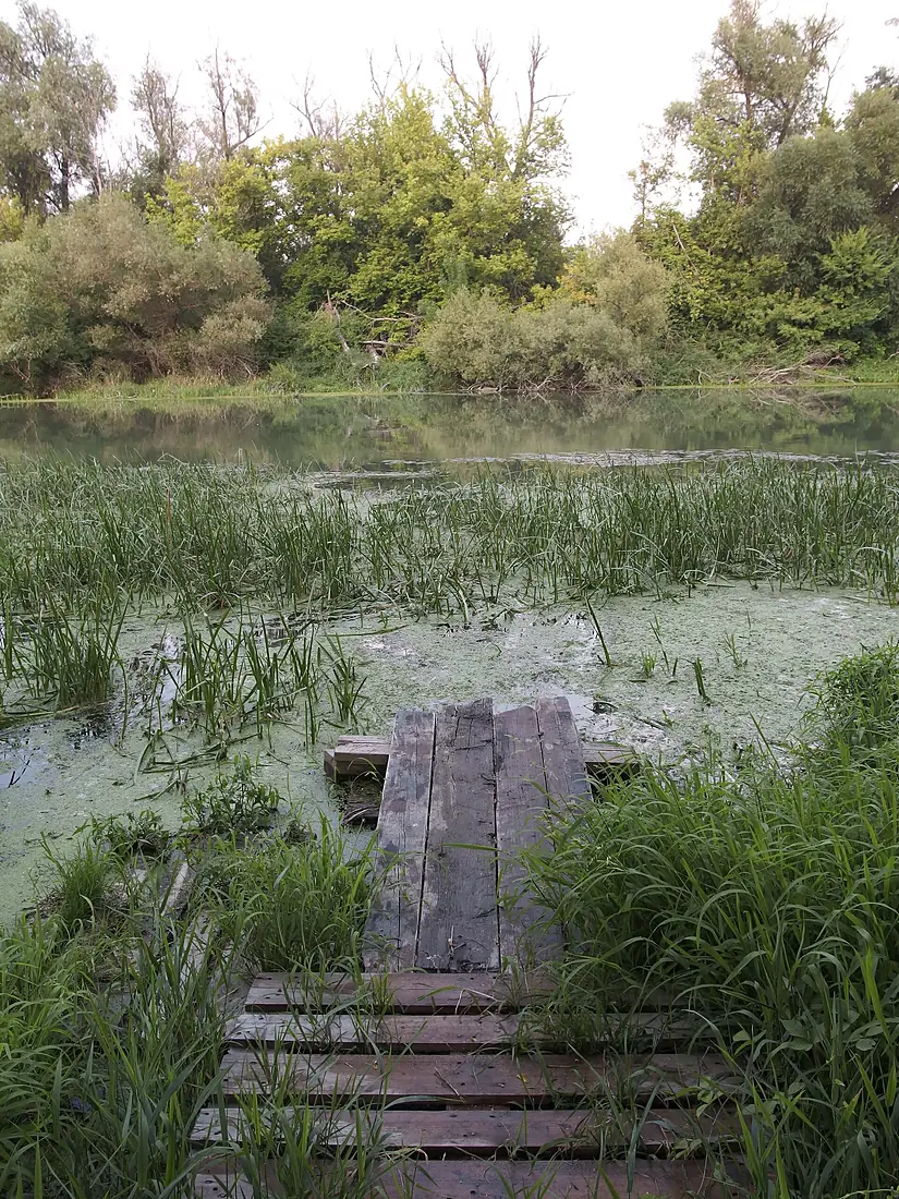 Malý dunaj - panoramio