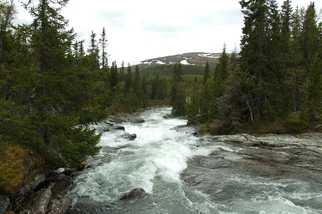 Ljungan river - panoramio